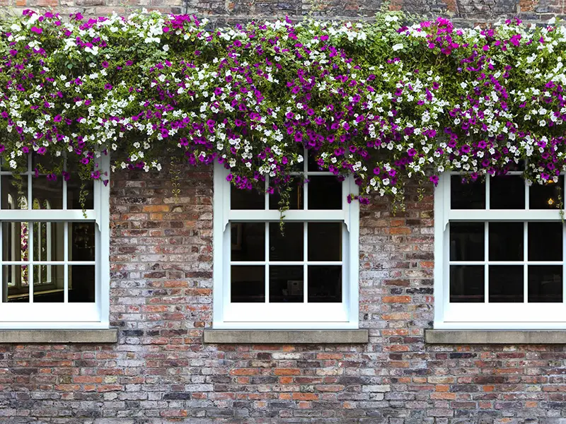 Photo of a Sliding Sash Window supplied and fitted Middleton Glass Gwynedd Ltd